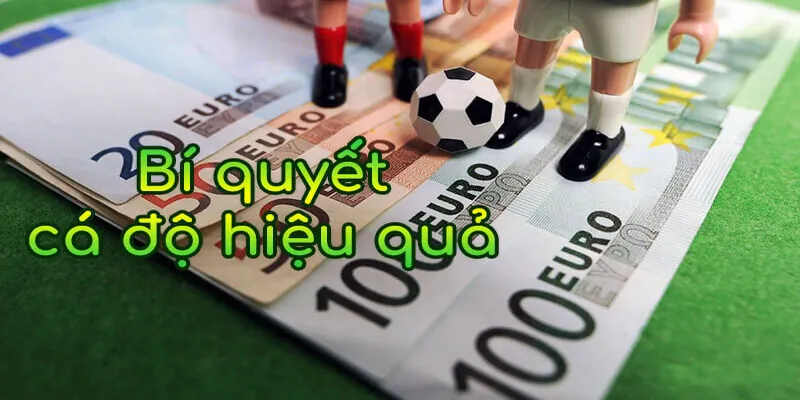 Kinh nghiệm soi kèo cược hiệu quả